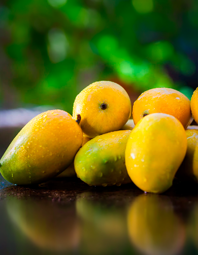 Summer Mangoes